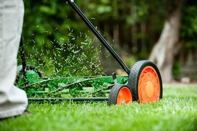 Lawn mowing and grass cutting service